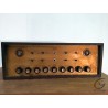 CUSTOM DESIGNED Amplifier 