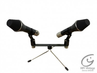 Hifi Vintage AKG D-202-CS