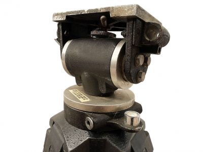 Location MILLER Pied video