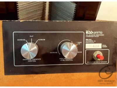 ESS AMT 1A transducteur tweeter