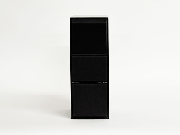 B&O Beovox CX-100