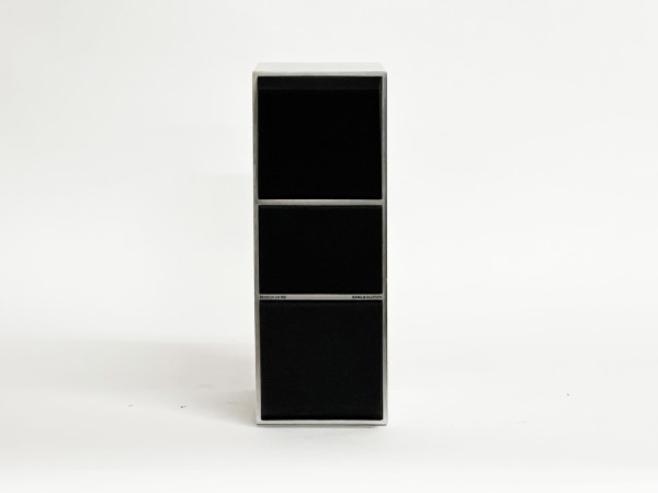 B&O BEOVOX CX-100 Silver