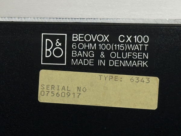 B&O BEOVOX CX-100 Silver