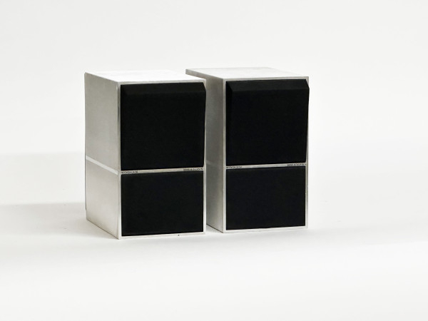 B&O BEOVOX C-50 Aluminium