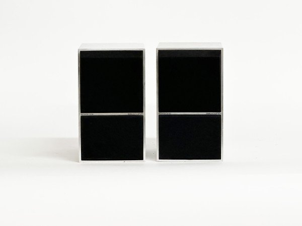 B&O BEOVOX C-50 Aluminium