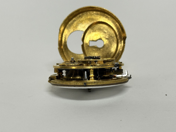 CASTRE Mouvement Coq