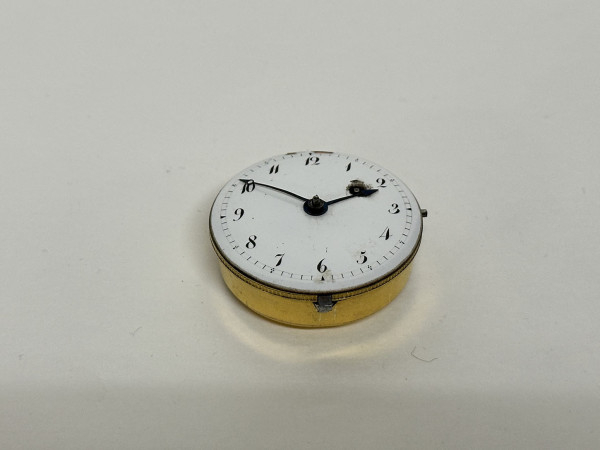 CASTRE Mouvement Coq