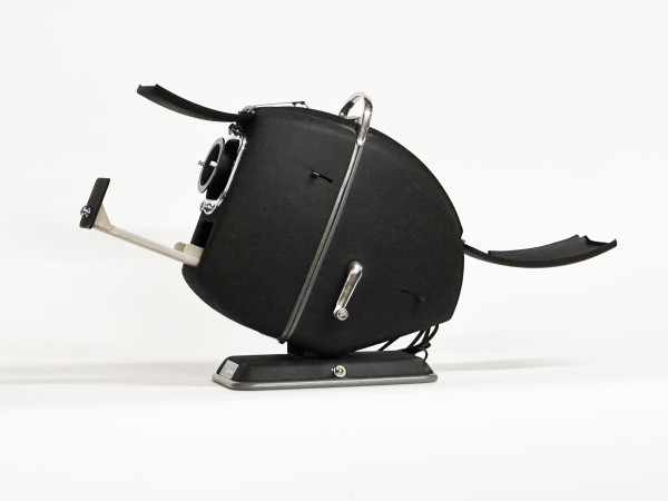 MICRA WILLM diapositive Viewer