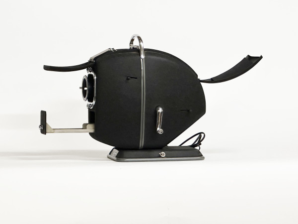 MICRA WILLM diapositive Viewer