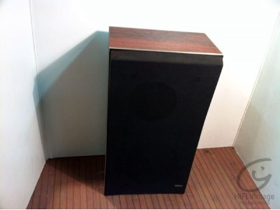Beovox S-25