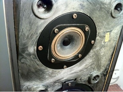 Beovox S-25