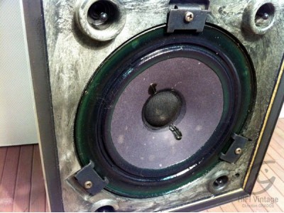 Beovox S-25