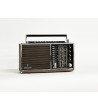 Grundig Concert Boy 1000