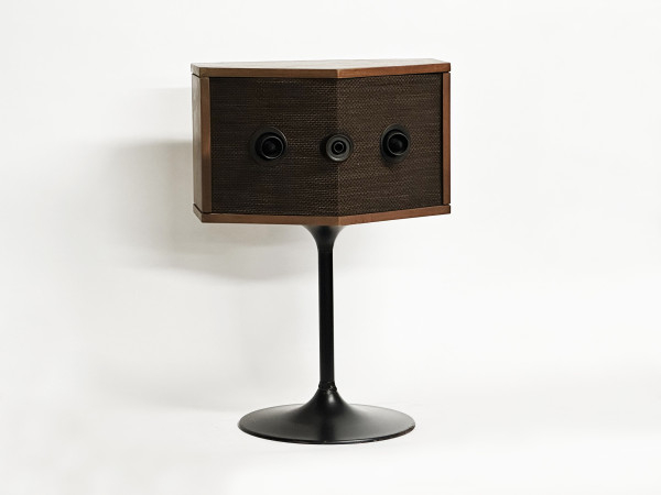 BOSE 901 Série IV Hifi Vintage Réparations