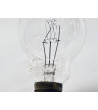 PHILIPS 100W Light Bulb