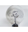 Ampoule Bulb 110V