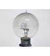Ampoule Bulb 110V