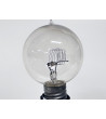 Ampoule Bulb 110V