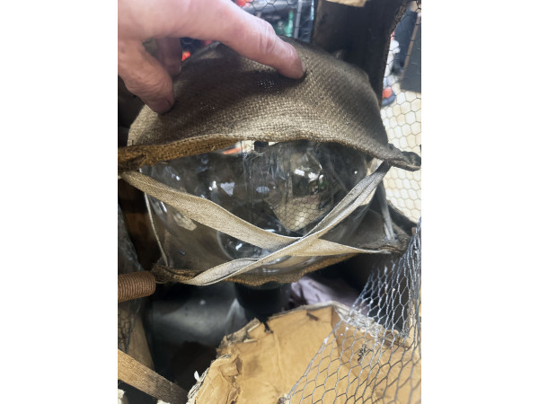 PHILIS Ampoule 6096-S C25T 110V 3000W