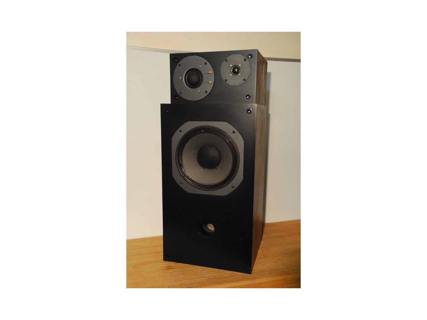  Delta Magneticc - Linear Speaker L11